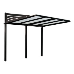 Abri cycles Conviviale sans bardages couleur noir