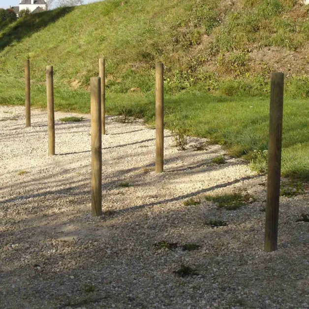 Slalom (10 plots)