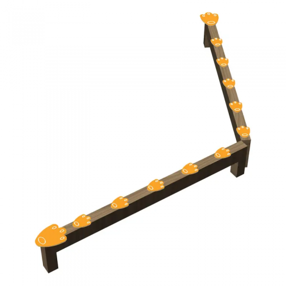 Poutre d'équilibre Pattes d'ours